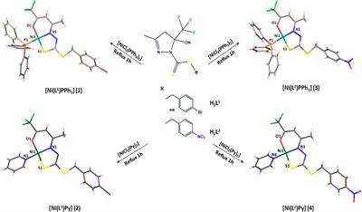 Dithiocarbazate ligands and their Ni(II) complexes with potential biological activity: Structural, antitumor and molecular docking study